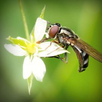 /album/louissalejp2013/photolia-a02-jpg/