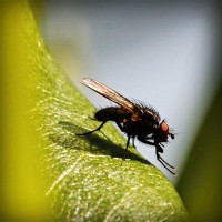 /album/louissalejp2013/photolia-a04-jpg/