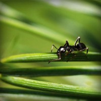 /album/louissalejp2013/photolia-a05-jpg/