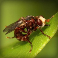 /album/louissalejp2013/photolia-a06-jpg/