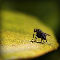 /album/louissalejp2013/photolia-a07-jpg/