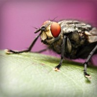 /album/louissalejp2013/photolia-a08-jpg/